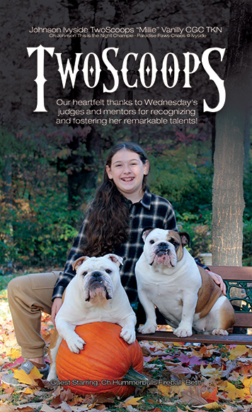 Bulldogger ad for Winter 2023 No. 178. Wednesday stands with Millie stacked infront of her. A pink and blue cloudy background. Above them the words TwoScoops Wednesday & Millie. Beside them See you in Gettysburg. Below them Our heartfelt thanks to Wednesday's judges and mentors for recognizing and fostering her remarkable talents!