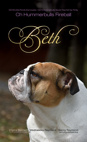 Bulldogger ad for Winter 2023 No. 178. Beth's perfect profile is the majority of the frame, the background is a blurry wooded landscape. Beth is from GCHB Little Ponds Kemosabe and GCH Hummerbulls Seven Year Itch by Trinity. Crystal Bennett, Wednesday Raymond and Benny Raymond are listed below. Crystal's email is hummerbulls@comcast.net. Benny's email is benny@twoscoops.dog